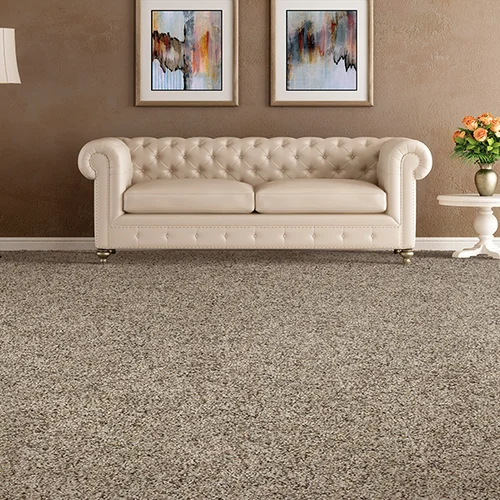 Apollo Flooring providing easy stain-resistant pet proof carpet in Tucson, AZ